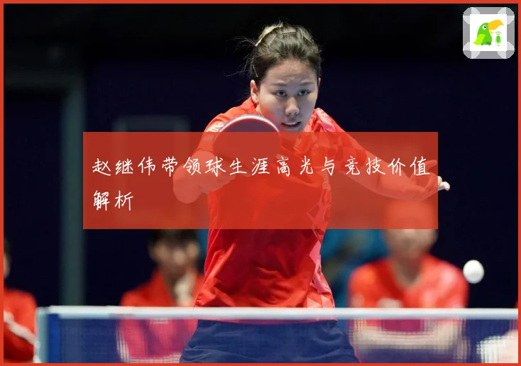 赵继伟带领球生涯高光与竞技价值解析