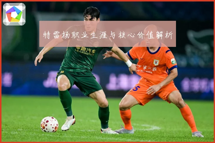 特雷杨职业生涯与核心价值解析