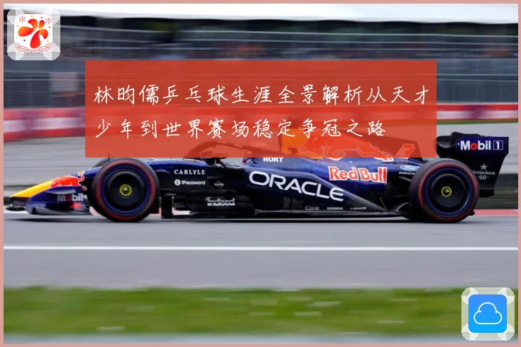 林昀儒乒乓球生涯全景解析从天才少年到世界赛场稳定争冠之路