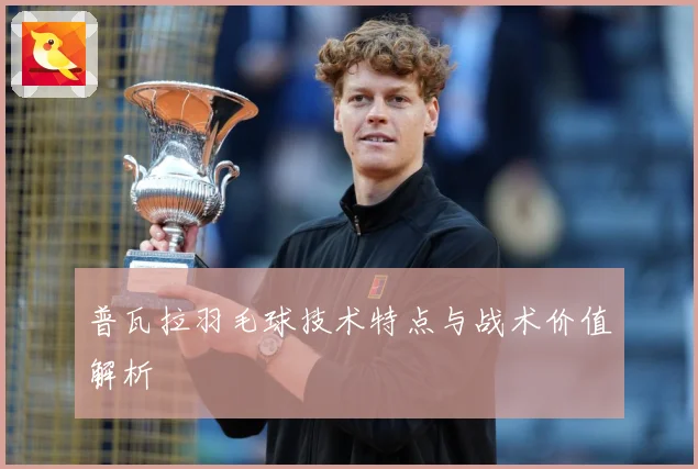 普瓦拉羽毛球技术特点与战术价值解析